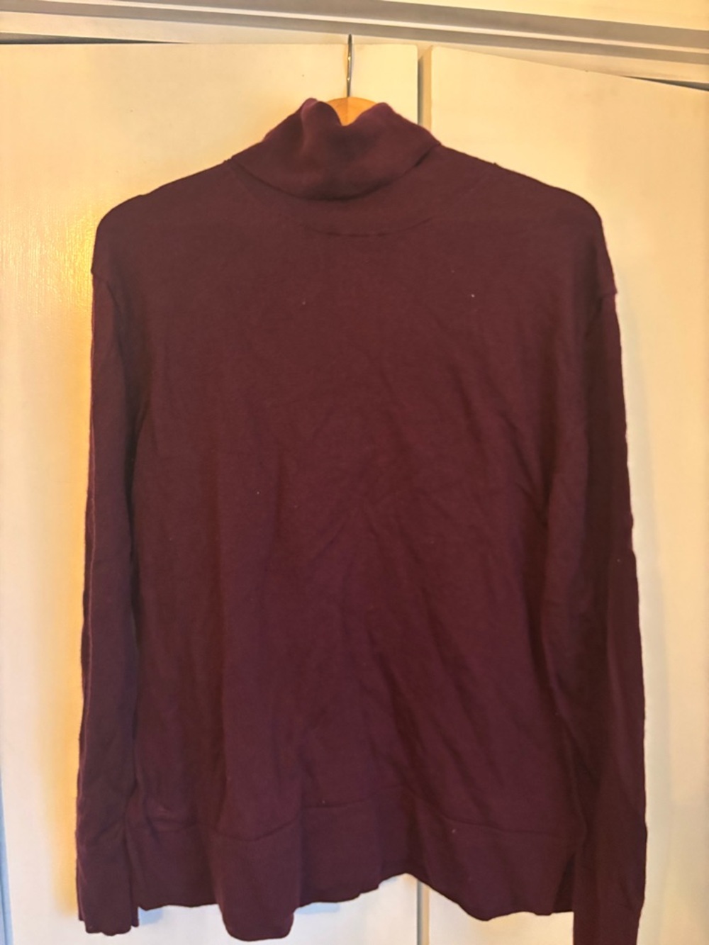 Banana Republic Women’s  Burgundy Turtleneck Sweater